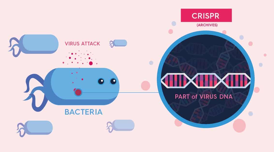 crispr-02 CRISPR-Cas9