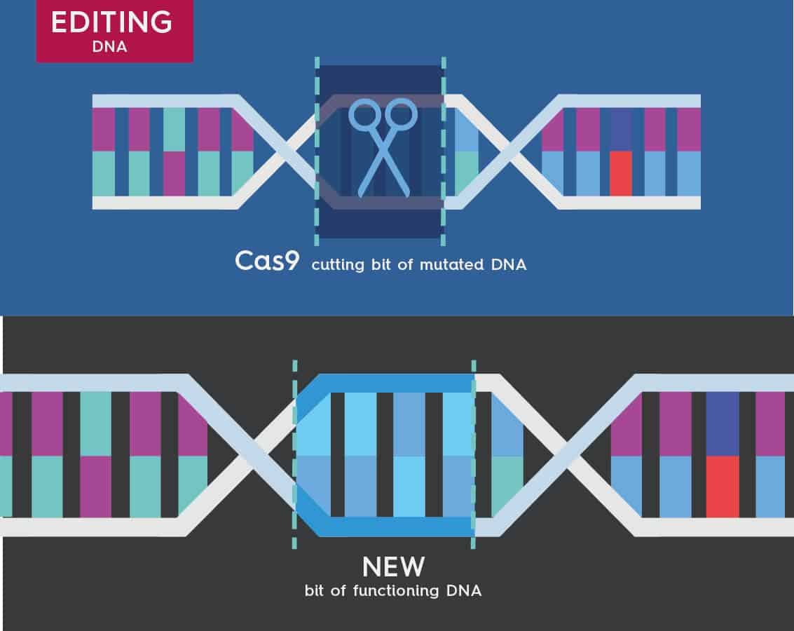 crispr-03 CRISPR-Cas9