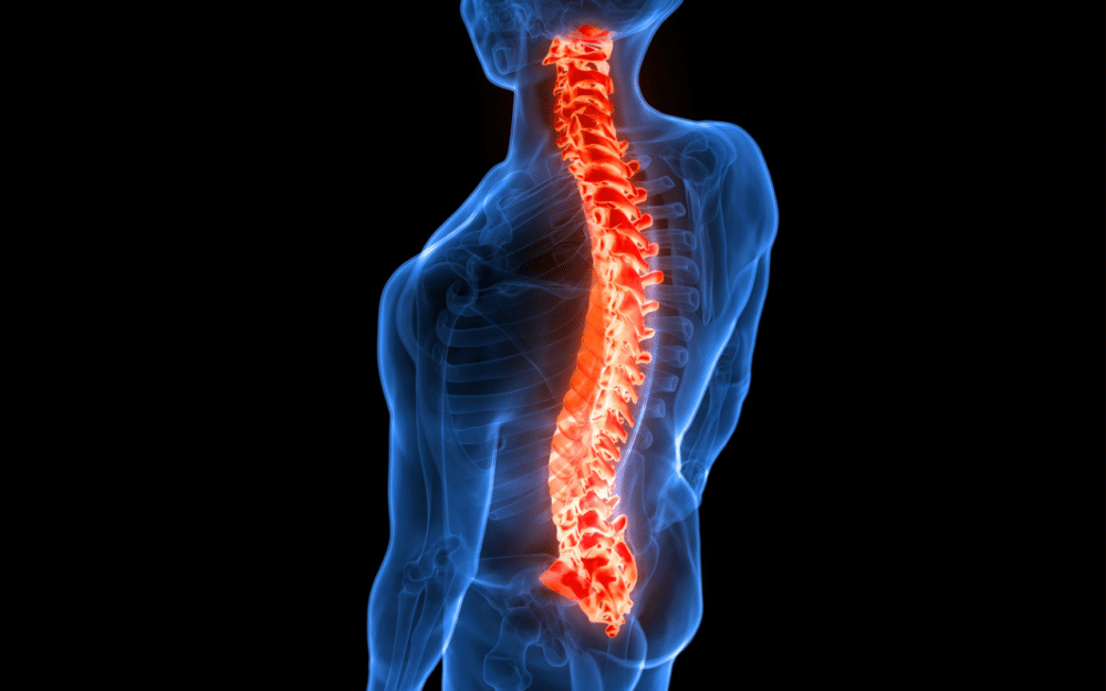 Spinal Muscular Atrophy Market to Grow To $3 Billion by 2033, Says GlobalData