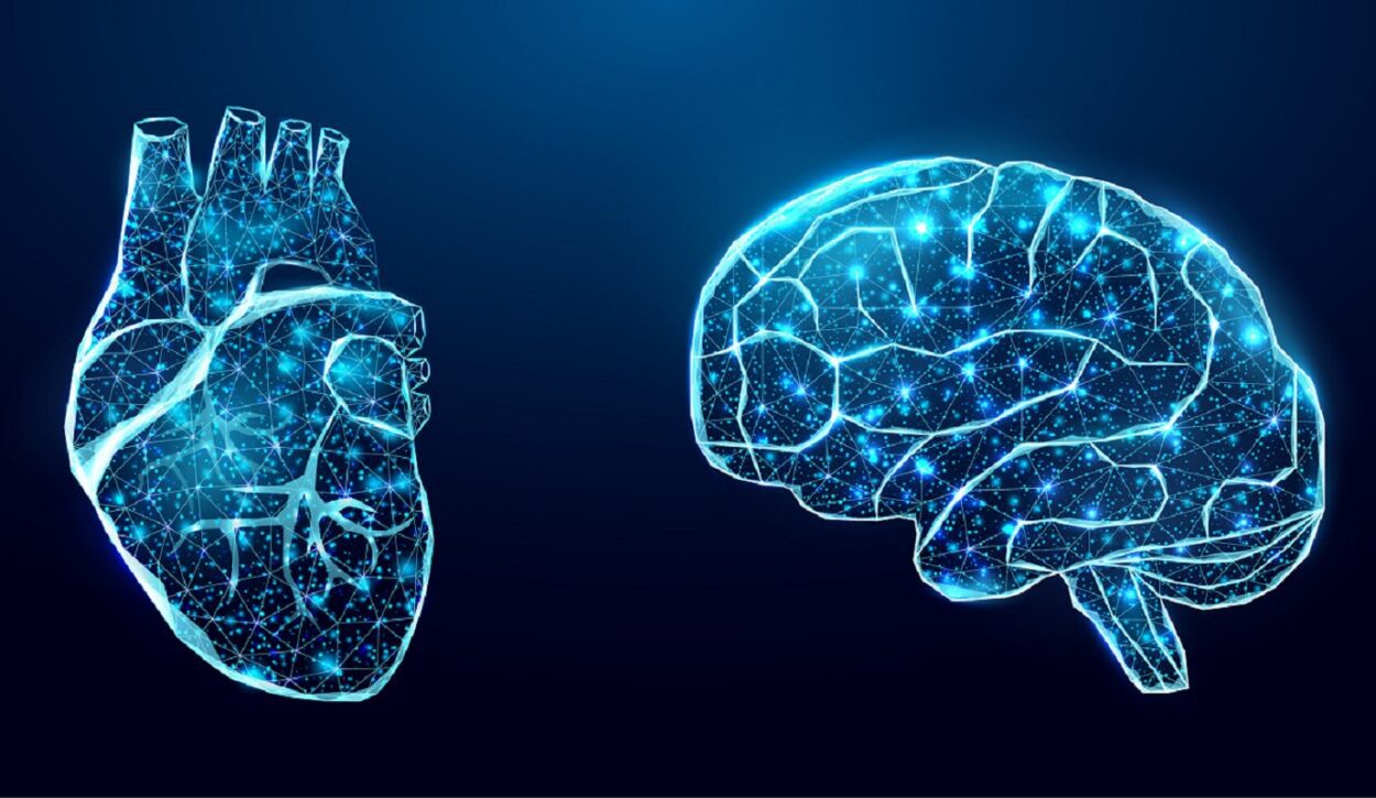 heart_brain_istock-1250x725-1 There are at least 40,000 neurons in the heart communicating with different areas of the brain, including the amygdala, thalamus and cortex. (Credit: iStock)