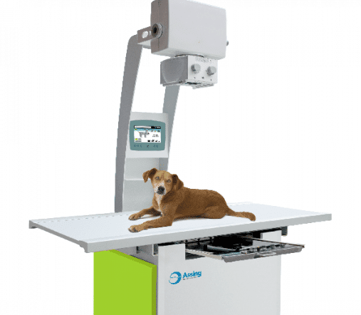 helios-veterinary-1 (Credit: Assing)