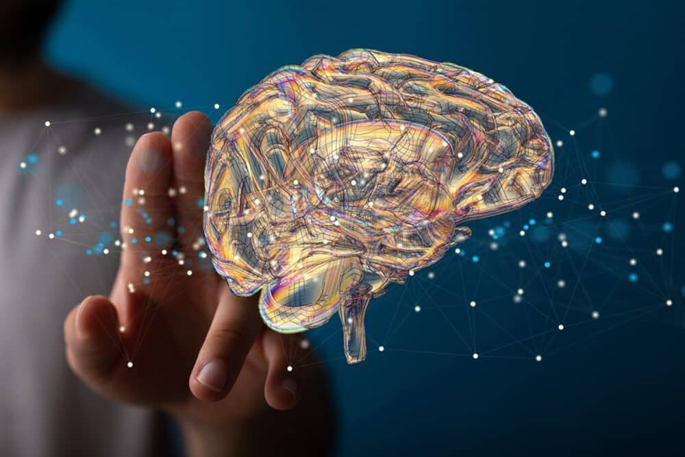 Neuroscience: Digital Brain Twin to Enhance Surgery for Drug-Resistant Epileptic Patients