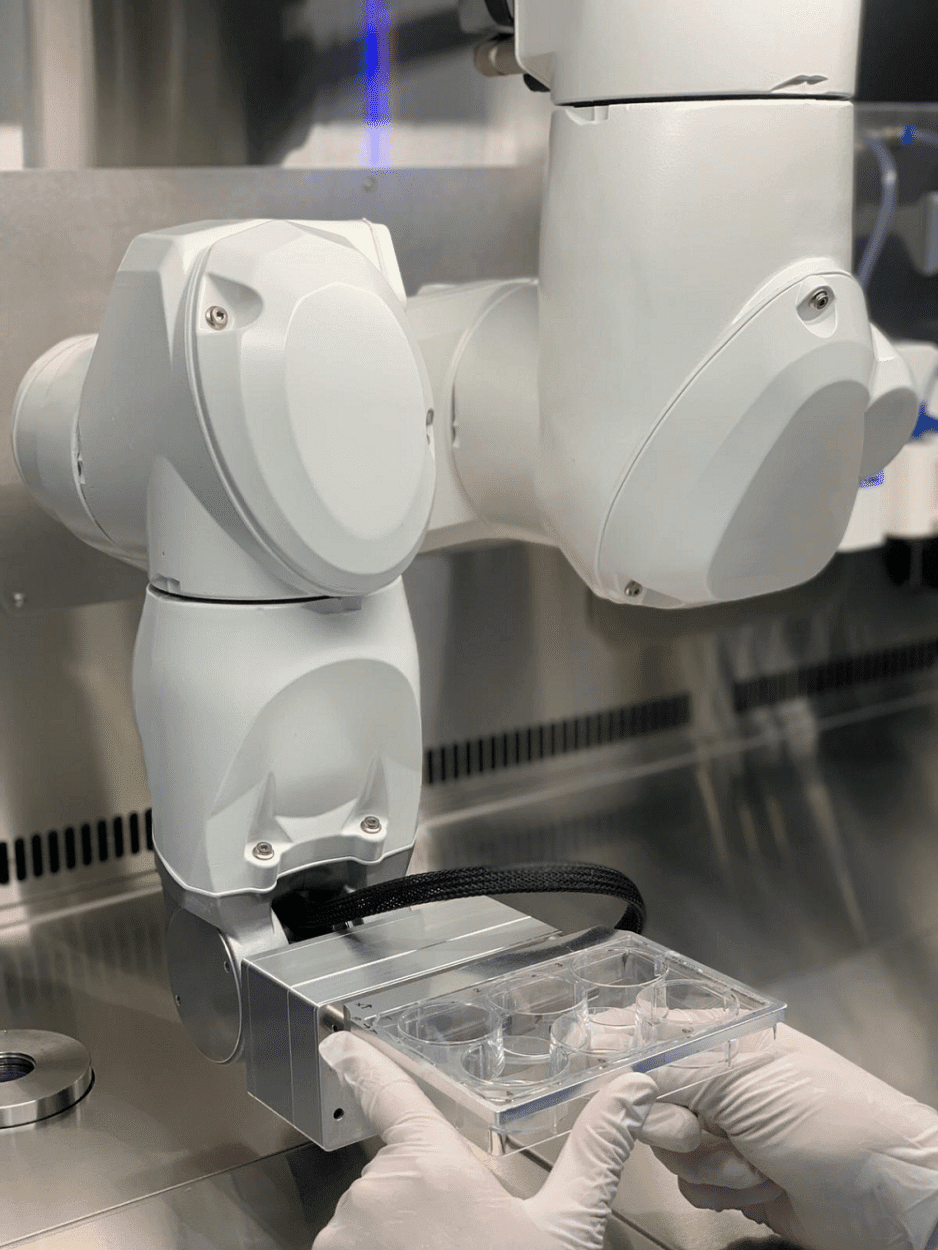 photo-brasngbr-1-938x1250-1 Stäubli's six-axis TX2-40 robotic arm. (Credit: Poietis)