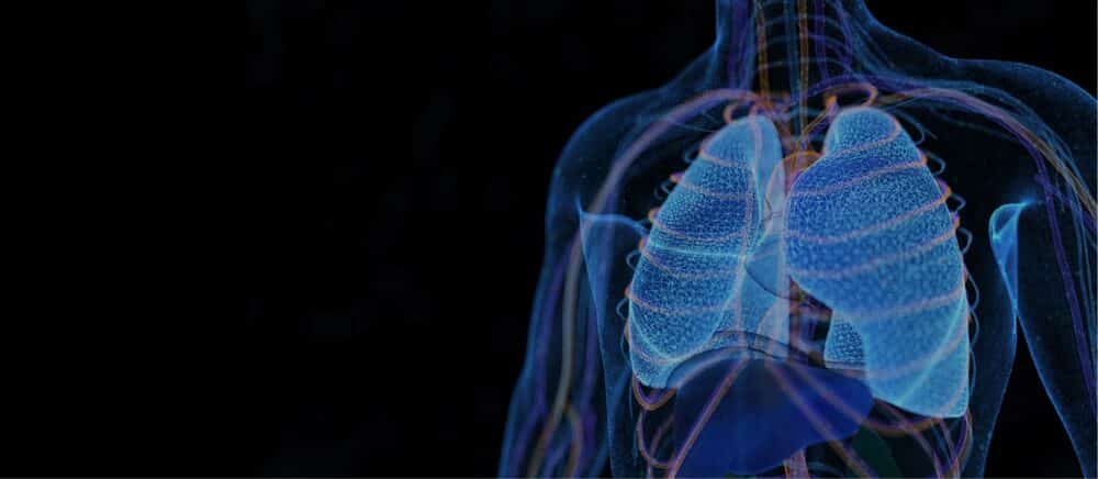 Digital Doctor Platform. Courtesy of Shukun Technology.