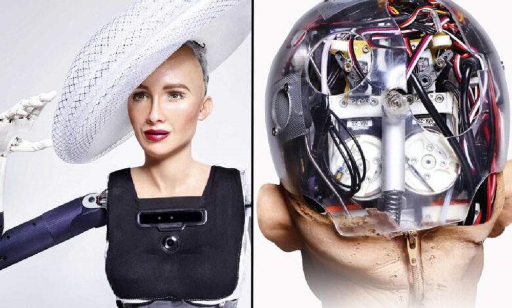 sophia-robot-humanoide Sophia, the world's first robot citizen. (Credit: Hanson Robotics)
