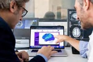 Virtual Brain (Credit: EBRAINS)