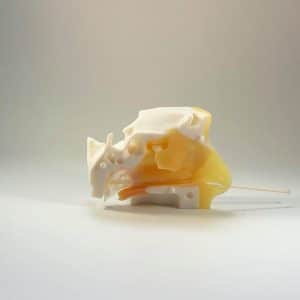 avec-ecouvillon-1-300x300-1