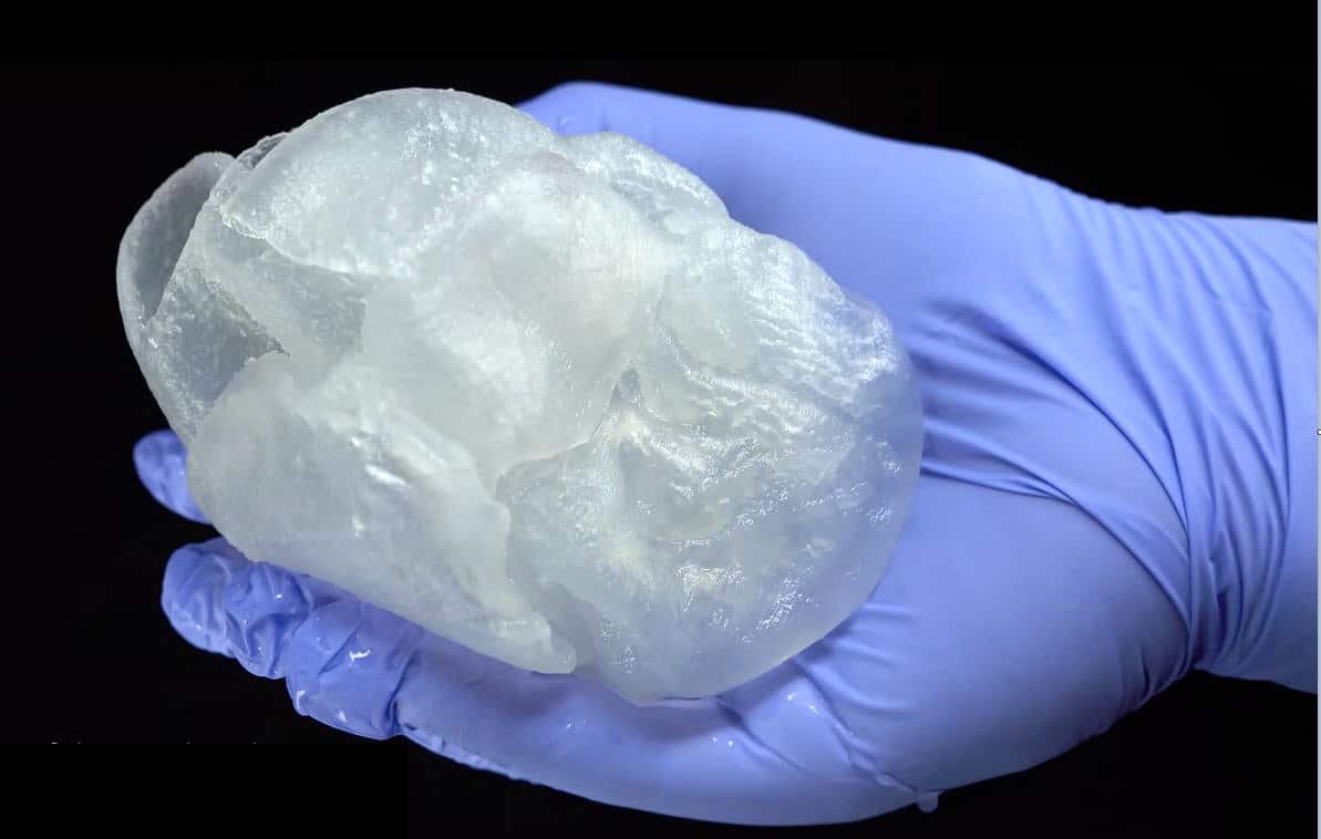 bioprintingheart3 "The alginate we use is a hydrogel that is widely used in the biomaterials and tissue engineering fields." (Credit: Carnegie Mellon University)