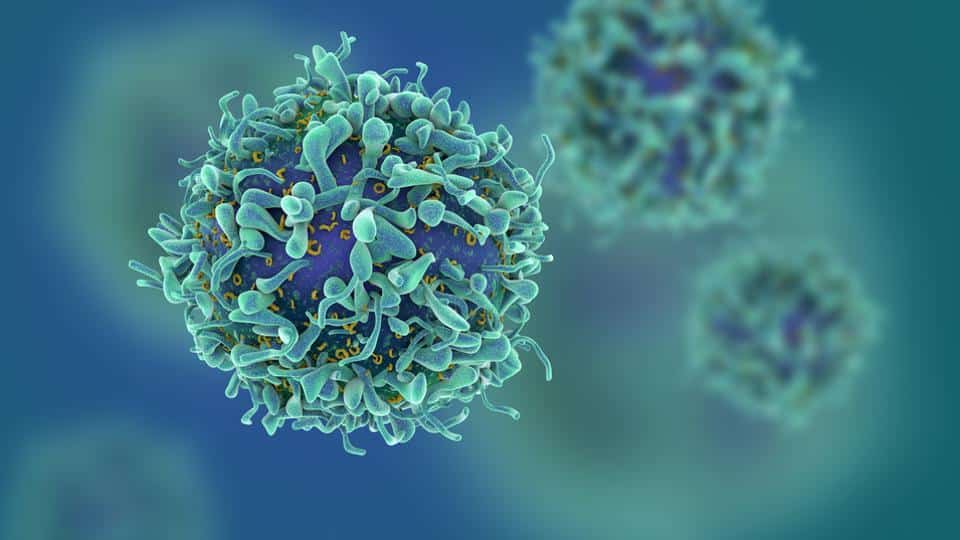 cancer-cell-1