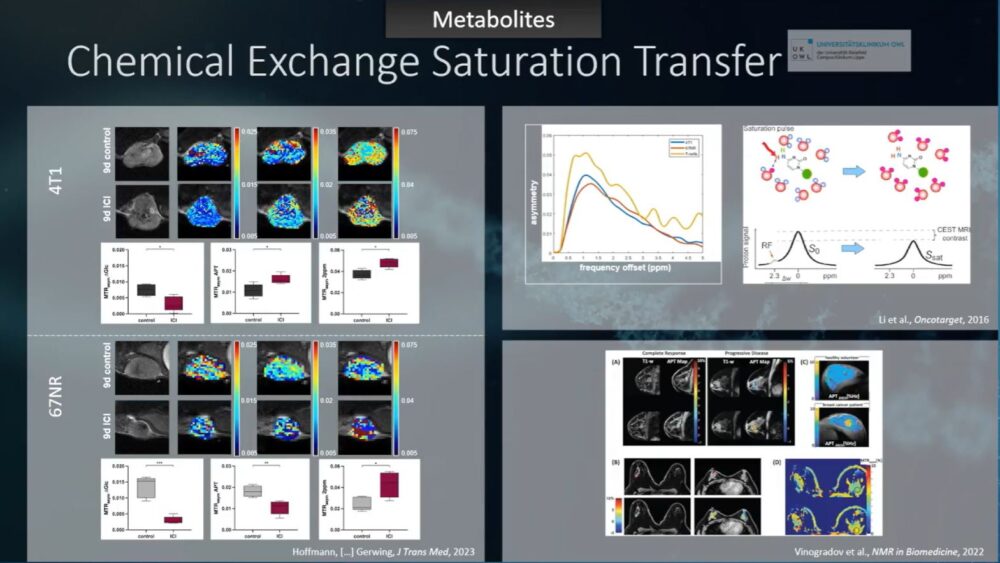 imaging-answers-to-immunotherapy-demands-esr-connect-15-1000x563-1 Screenshot of presentation during the event. Courtesy of the panelist and ECR.