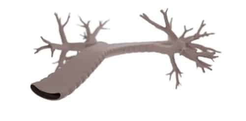 lazarromedical2 (Credit: Lazarro Medical)