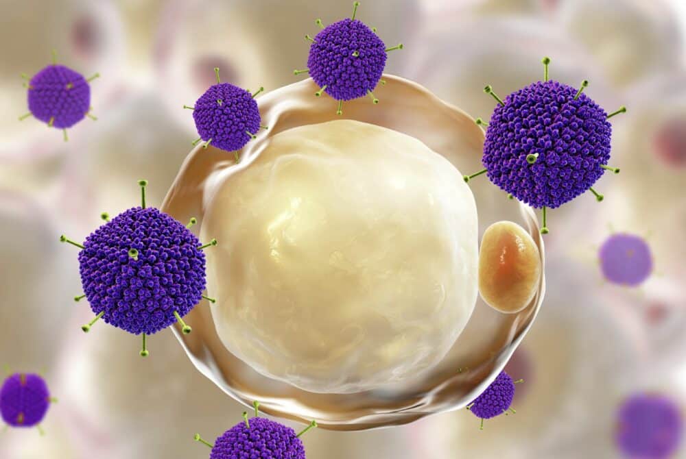 niba-labs-cell-1000x670-1