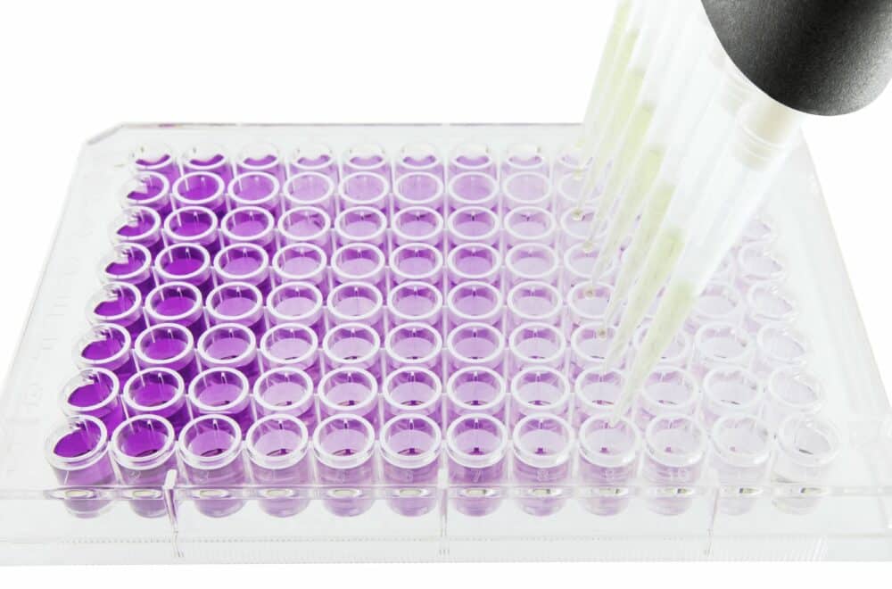 niba-labs-tray-1000x660-1