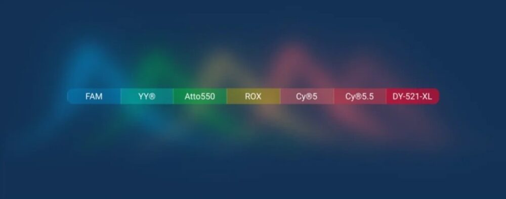 nioplus_7colors_stilla-1000x394-1 Nio™+ is the first PCR digital instrument to support seven colors with a brand new long shift red as an extra color. (Credit: Stilla)