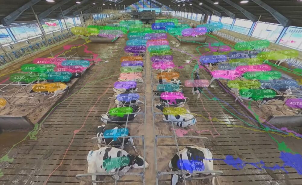 vetvisionai-2-1000x614-1 Courtesy of Vet Vision AI