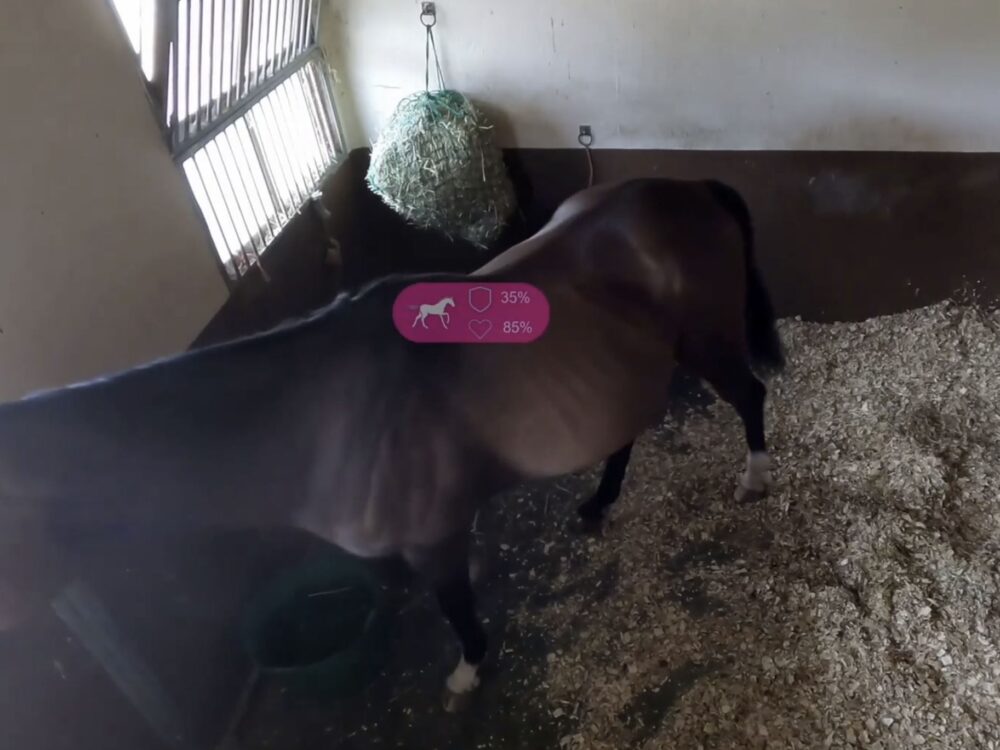 vetvisionai-6-1000x750-1 Courtesy of Vet Vision AI